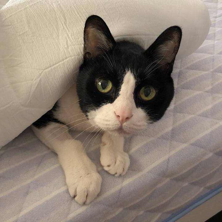 2f28318b 314a 4c71 aa46 9a202ff39eac 1559600908623