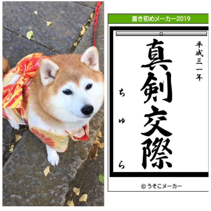 2f2835f6 08b6 4e3d b870 6a9e0e5d64d4 1546488762690