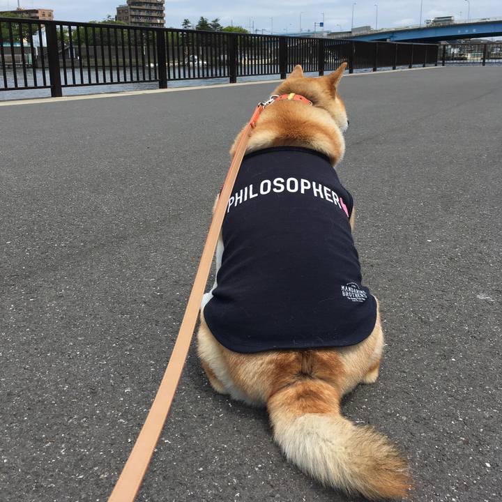 2f283bf8 38df 487e 9288 f4fac4c384ff 1557717038183