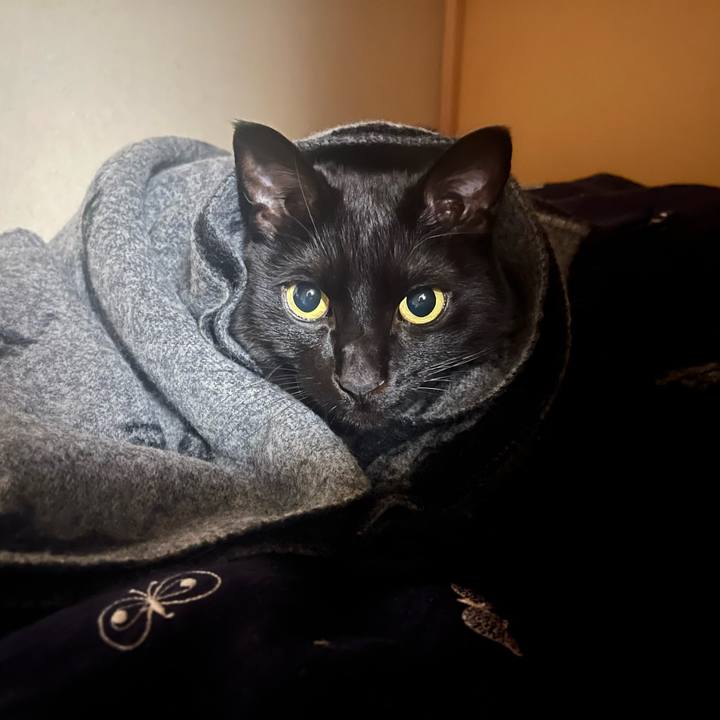 2f284c2c be98 4a54 85ad a4ebf74f2ef2 1707141451390