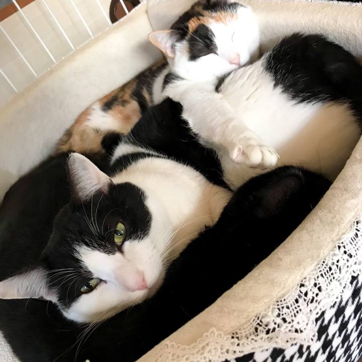 2f287238 f1c2 4b8b 8d0b babd6267015d 1518568363809