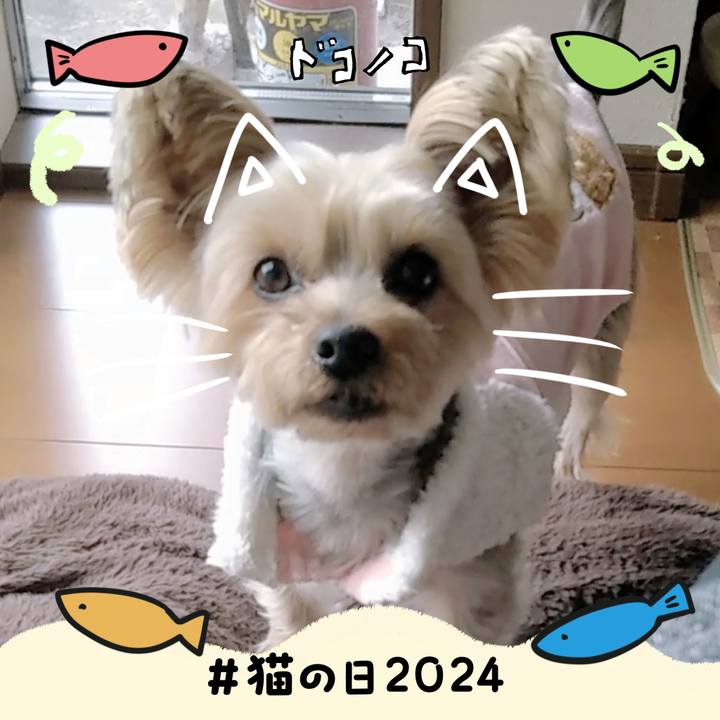 2f287bdb 2d41 48b0 805f 1cfbaa669a7d 1708600808684