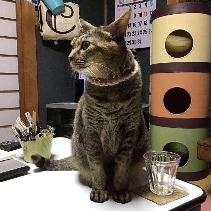 2f2891d0 3b24 43c1 aa77 69f24e6a3f89 1691843067417