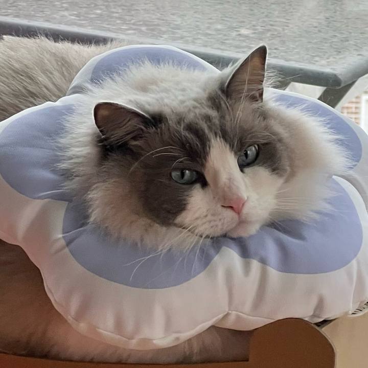 2f28bb05 d49b 4e8a 8f06 c75140e06eb3 1710813167982