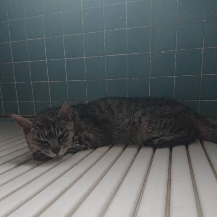 2f28bec0 751d 46ca b6ca 7523a724cc12 1594155357569