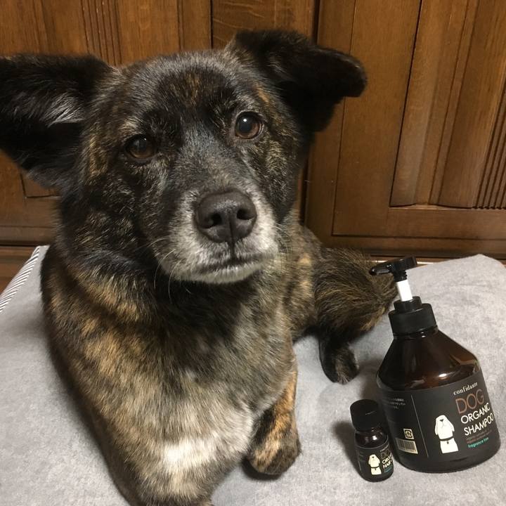 2f28bed6 5a9b 47ad ad8a b1ce4186c78c 1527125377313