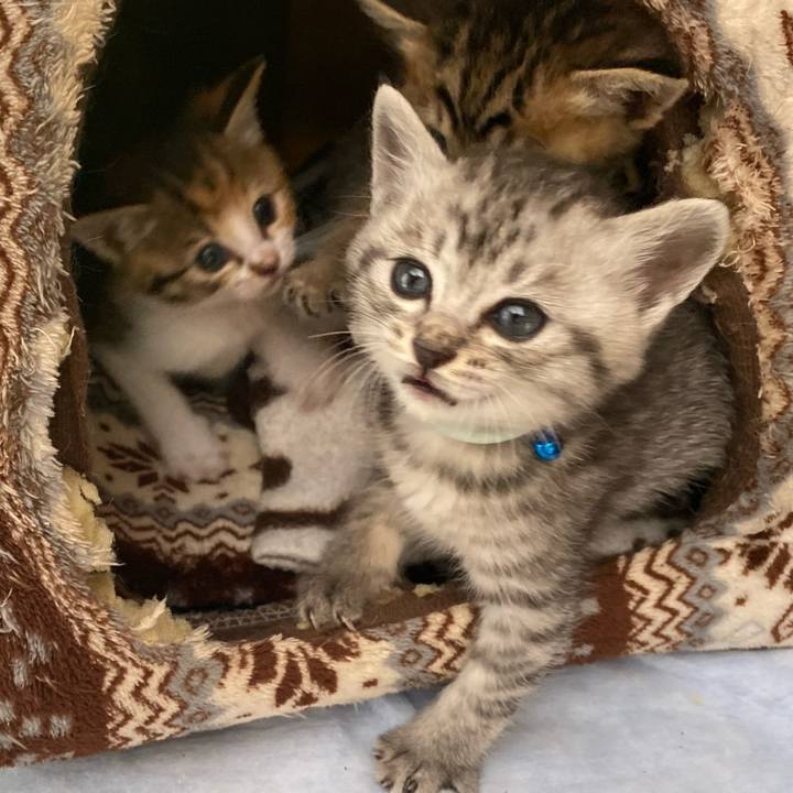 2f28fc5f a085 426a 9857 bfc2819bd09c 1620348110198