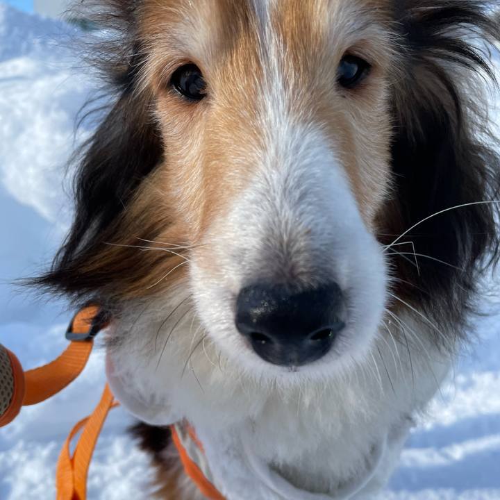 2f28fd38 431b 4648 bda2 0857f271b03e 1643010238165