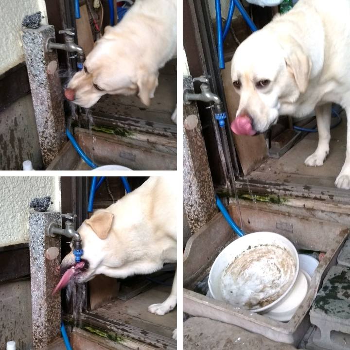 2f290bd5 bf73 443e 9d88 d9068747a567 1591783498270