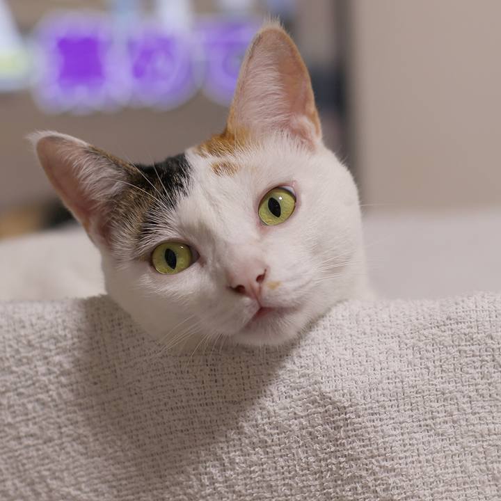 2f291f45 190c 48ed a79f ba50bac797f5 1612573288236