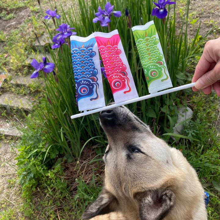 2f29695b aa89 4aa7 b0cd 1c42602f06ff 1651733883884