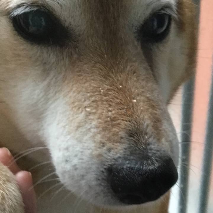 2f297fbc 2618 4baf af19 99208b052c32 1620892778900