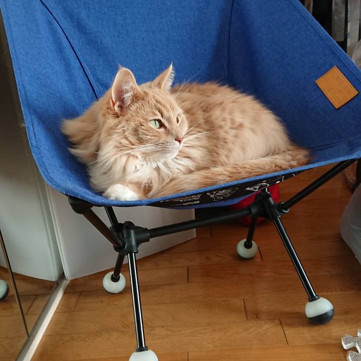 2f298950 e227 4b79 b59f 74a01aebd375 1586054285842