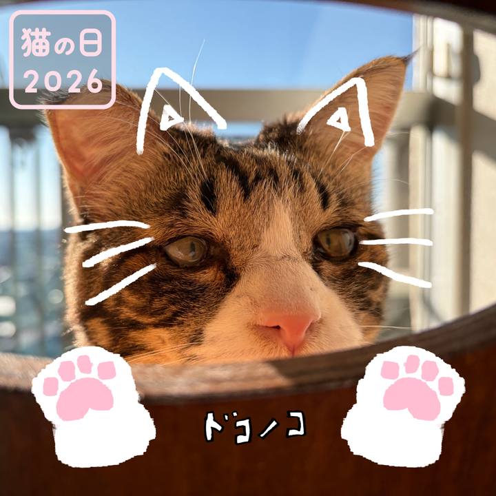 2f2998df 5993 4978 9078 dc8d83a41ab9 1771743563129