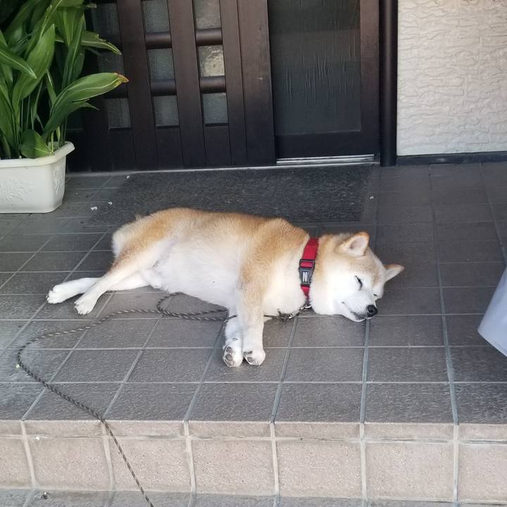 2f29c01a 837b 491e 9005 d59b45fd62be 1721609217640