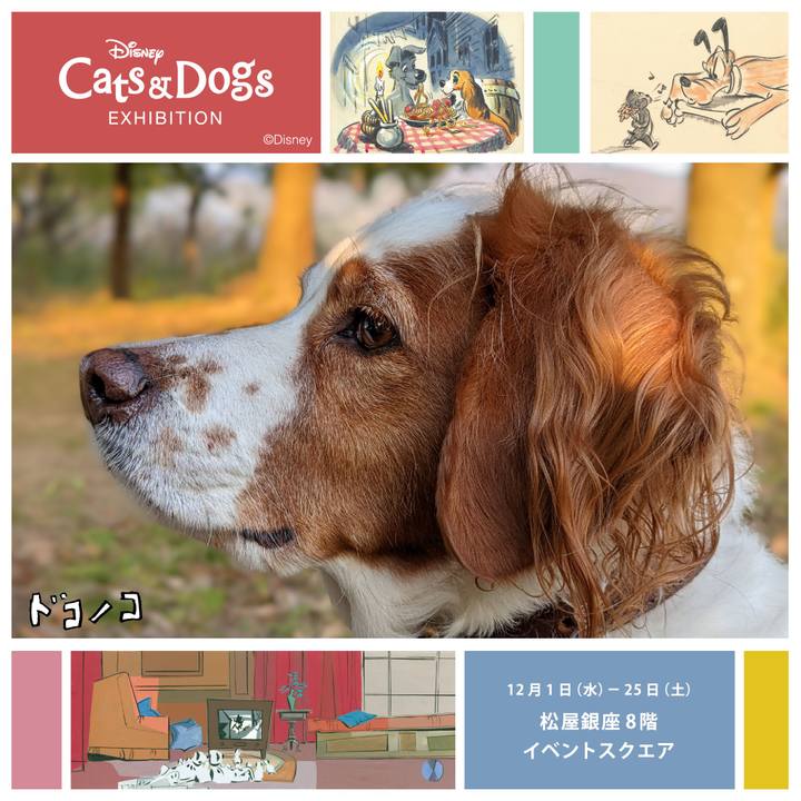 2f2a0c1b cc11 444a 90b1 bccb7c1eea47 1638359198529