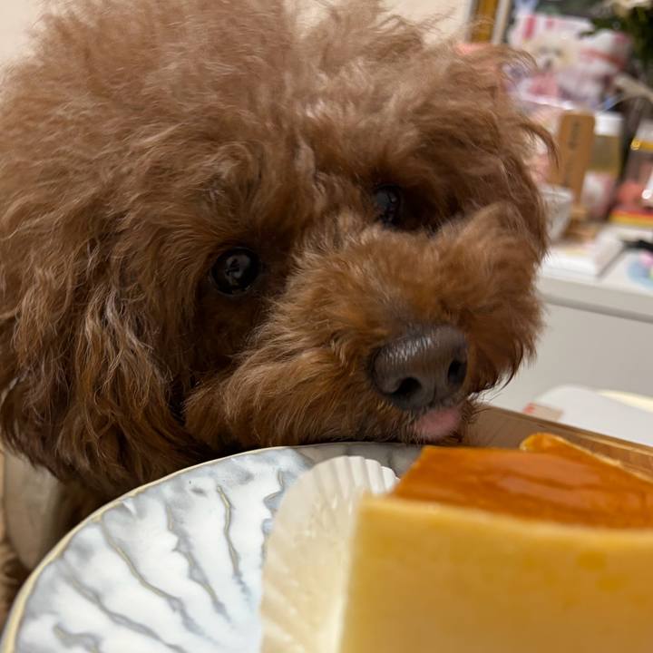 2f2a91e5 afeb 4f98 be99 dc8cec0f1943 1769120850811