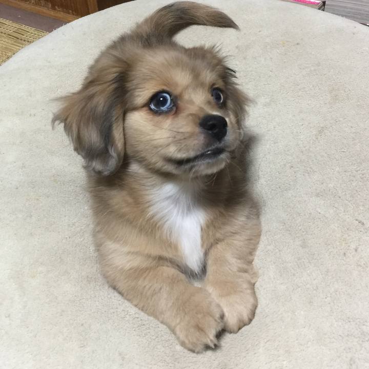 2f2ae115 e9e7 4395 83b2 deb19c4d6ea7 1536365375167