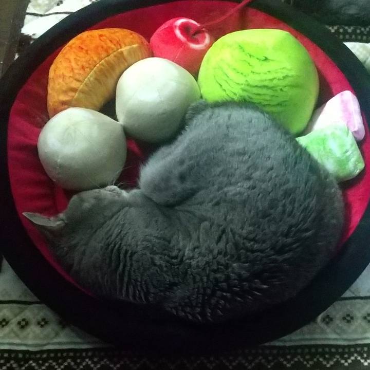 2f2b022f e418 4296 ae48 b66f2e458a5a 1680643880998