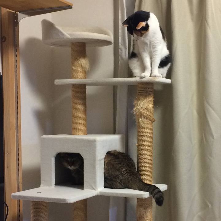 2f2b341d 0eec 4ef7 b31b dbadaf41b207 1590572761141