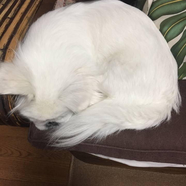 2f2b3547 cdb3 47d3 90e7 3866e80466f2 1511690116491