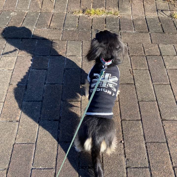 2f2b55a3 0e6b 4479 8422 506f3902e714 1767505724990