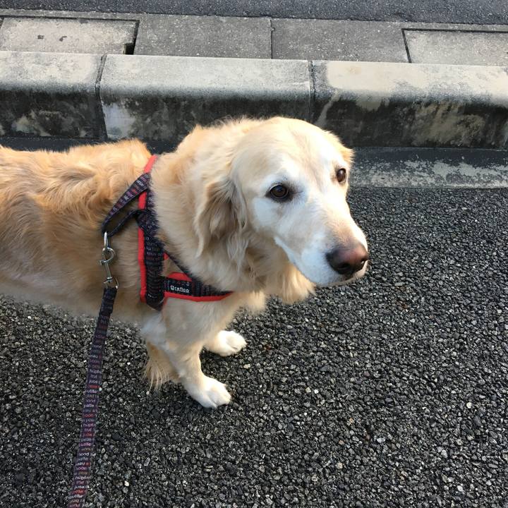 2f2b59ad acaa 4df2 8dd8 9c6c51d844d0 1543744992174