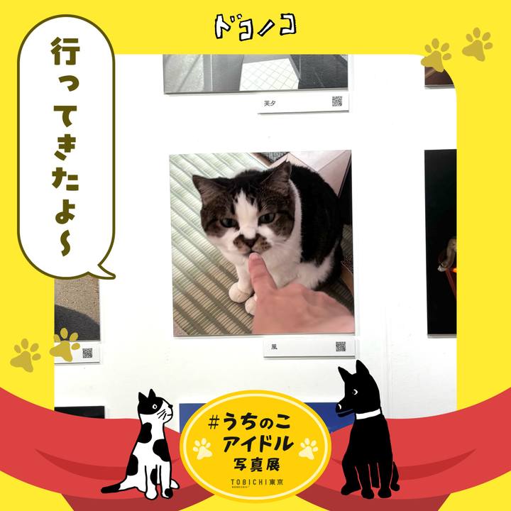 2f2b5cf6 ec51 48e8 9009 d13cfdc1aff5 1762072755321