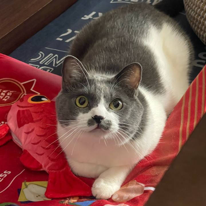 2f2bc27b 0ab9 4e58 b2a3 3da5e62da465 1726530524050