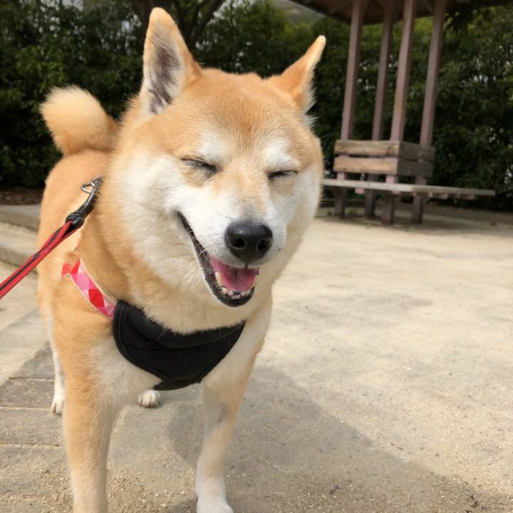 2f2bf193 ed09 47f8 8675 f617d227df08 1556599490514