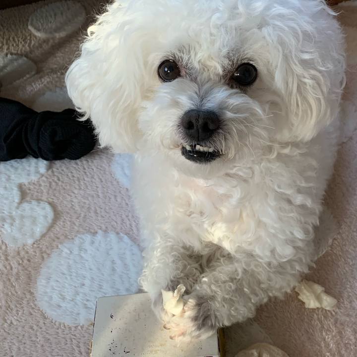 2f2c06c8 7c3e 4967 a4f2 3ef907b04f38 1581462599478