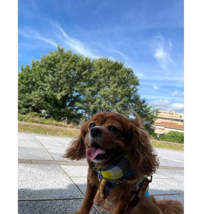 2f2c4179 2baf 49c1 8639 9a6c11290984 1659140441721