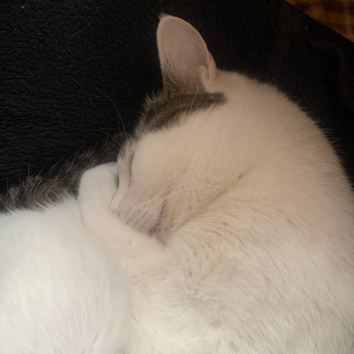 2f2c42fa f192 4e21 b4e8 43e828c3bb63 1709877874701