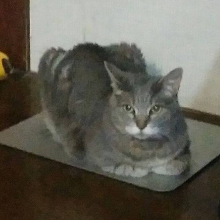 2f2c73ff 5b13 4baa 8cbd 3f97780c3c3e 1561135908210