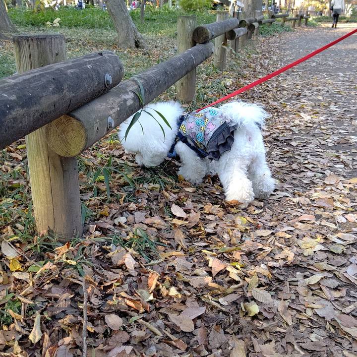 2f2c82a6 8767 43b0 8223 16a7e43020ce 1576073195287