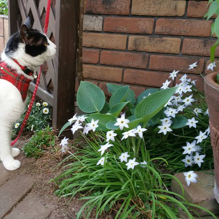 2f2c96dc bcba 4775 b962 ae44d0db947d 1525217317169