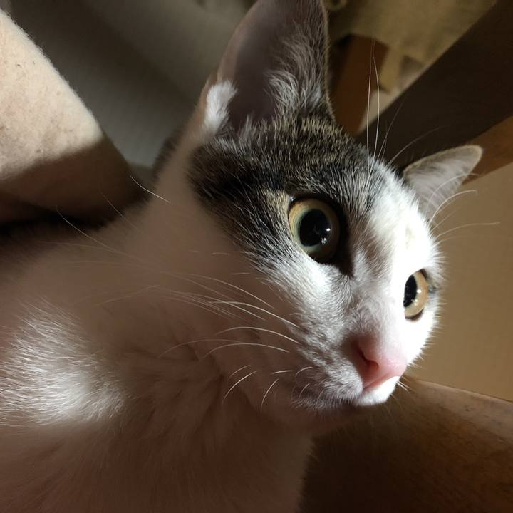 2f2ca309 c8a6 4015 a7b5 6c170f2577b3 1580507374621