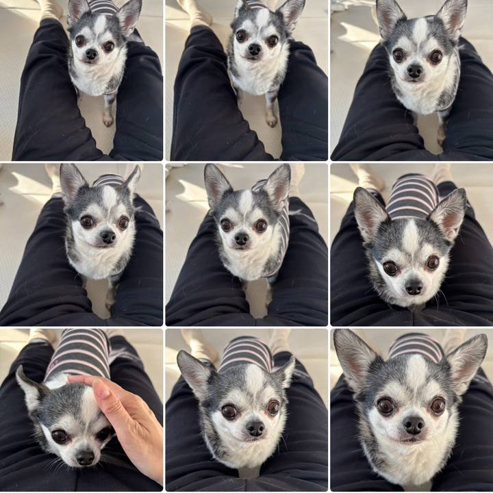 2f2cd4da c823 4bab 9d51 3f007209e74a 1773382276295