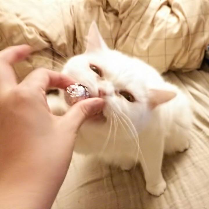 2f2ceef1 e8cd 4152 9ef7 61f41c5dfe70 1508109418775