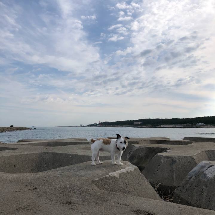 2f2d028e 8266 49bd b540 ee409e3ebadd 1600210596054