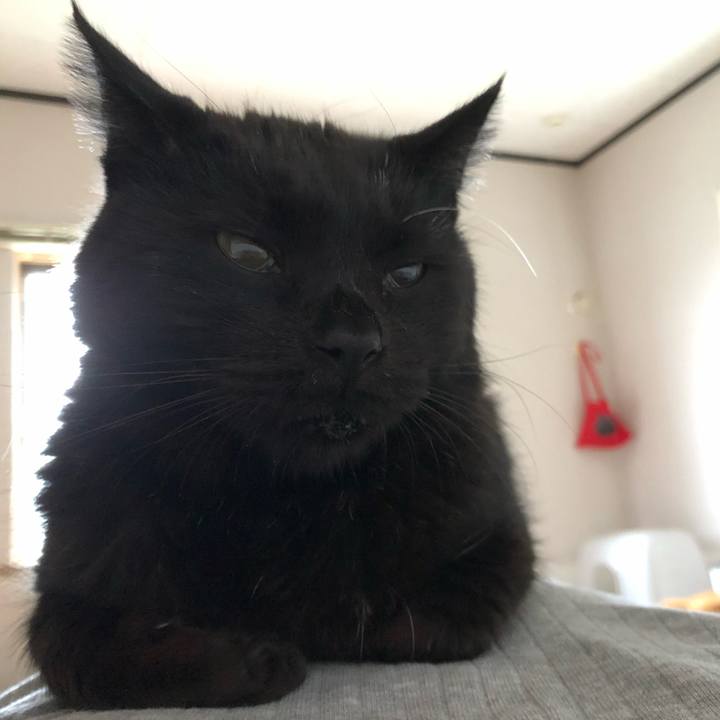 2f2d0959 5987 4bb3 94f2 16f4ba79c74a 1599945378156