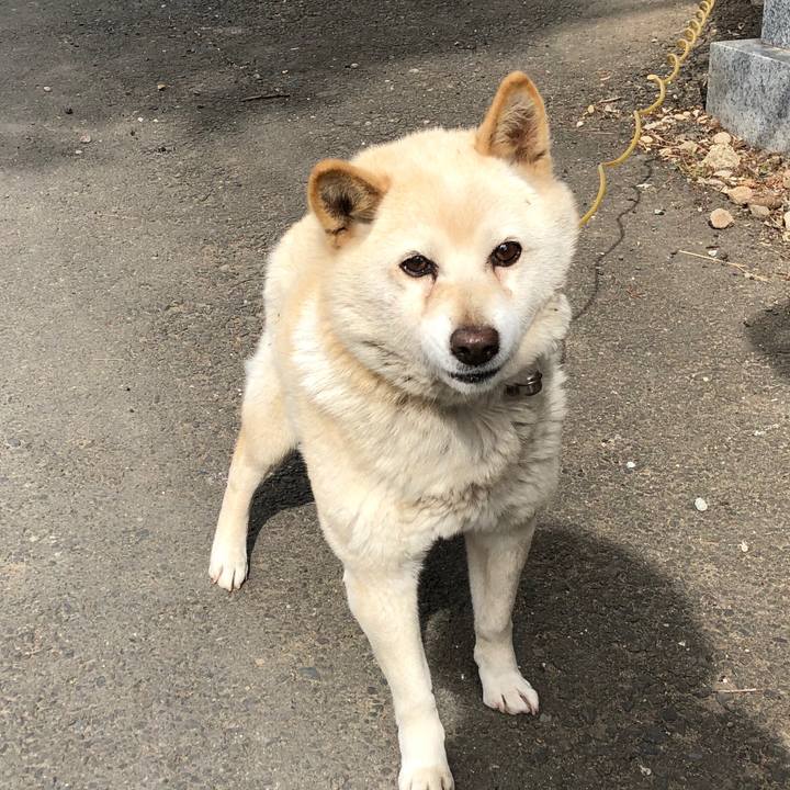 2f2d1617 965a 4bb1 8a3d f19d3b5fce86 1550241559041