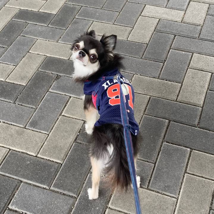 2f2d325d 518a 4940 959d 85cc7ee93fa8 1717914967090