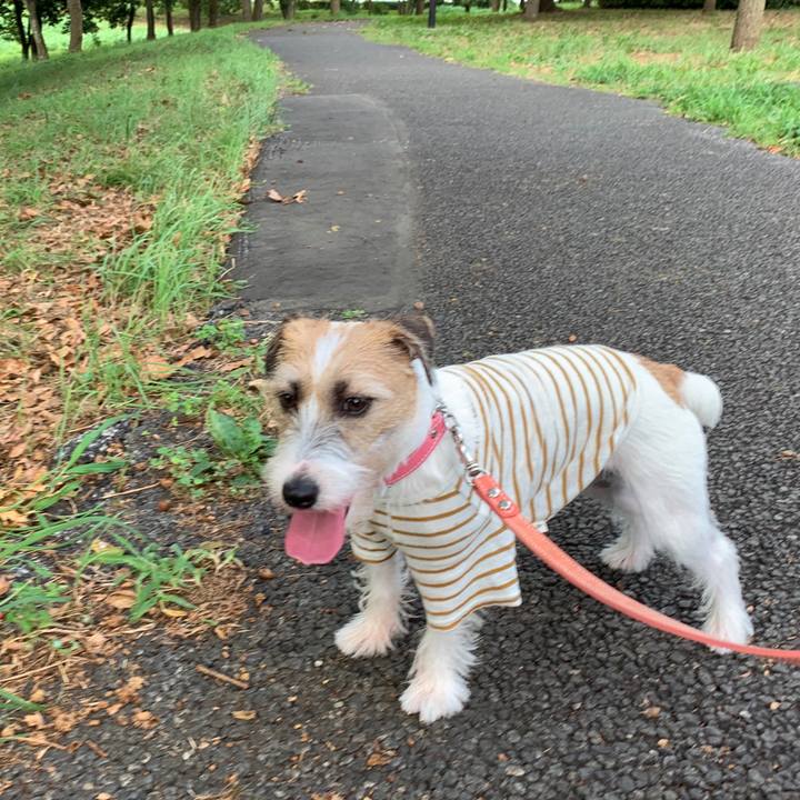 2f2d4431 c9bc 4ced a391 0ec8f8eb4945 1599640376488