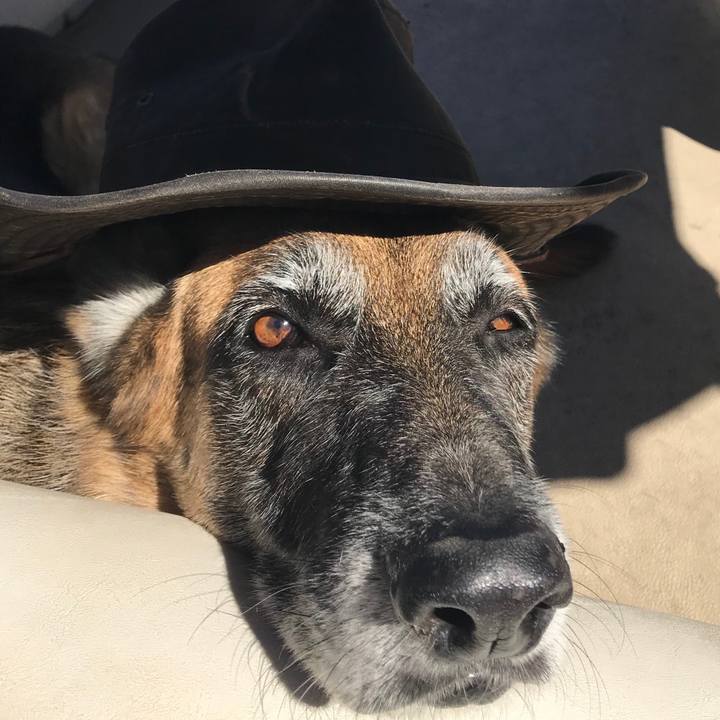 2f2d5a45 0466 4a08 b1e7 100206ab5b5f 1536542652509