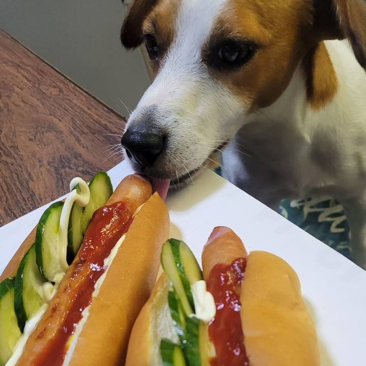 2f2d6f35 750f 47c0 96d5 6ccf160ed1fb 1660708623905