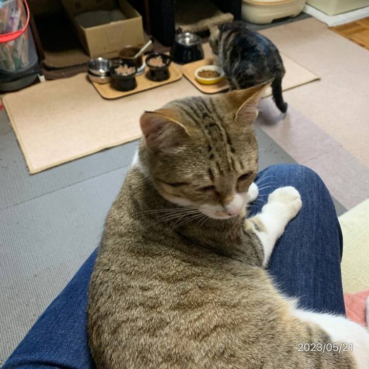 2f2d7a30 1fc3 4453 a1df 8af72bcf5800 1684705719135