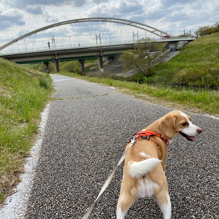 2f2d7f0b 171d 4eff 9a15 7b8ccc073e9a 1587106964489