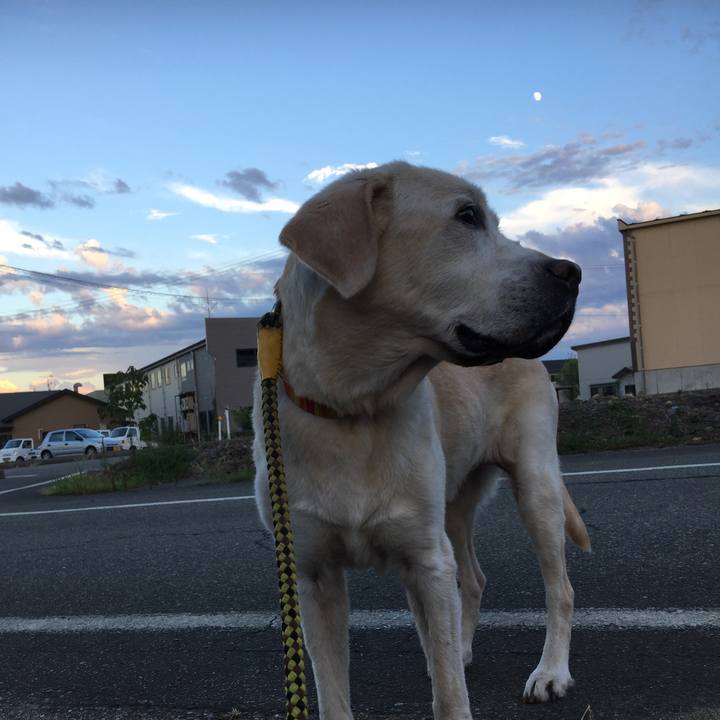 2f2d9958 4383 425d a8f9 90821440cc1c 1534930518699