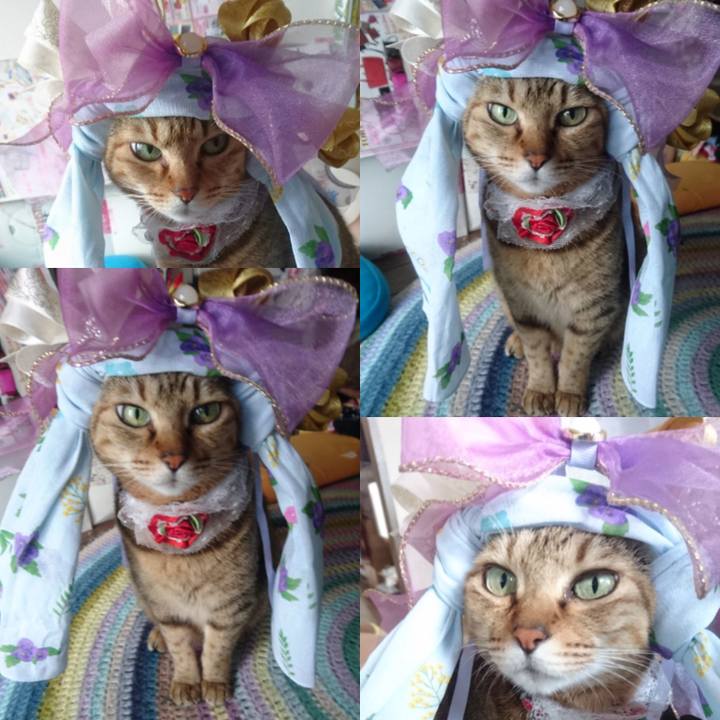 2f2d9c2f 30ed 495d b111 7f94274e39c8 1757976730233